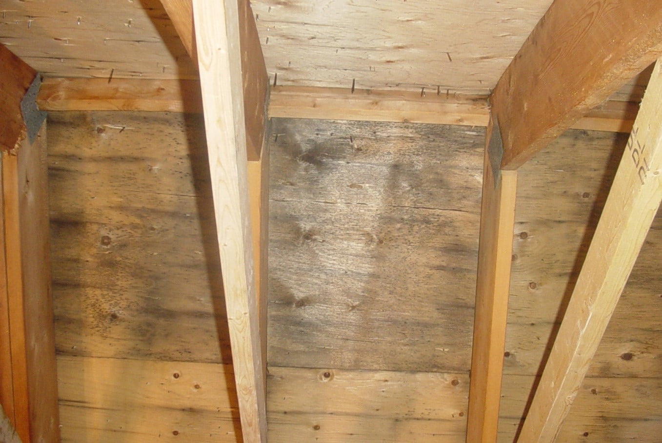 moho-antes.jpg moho-antes.jpg